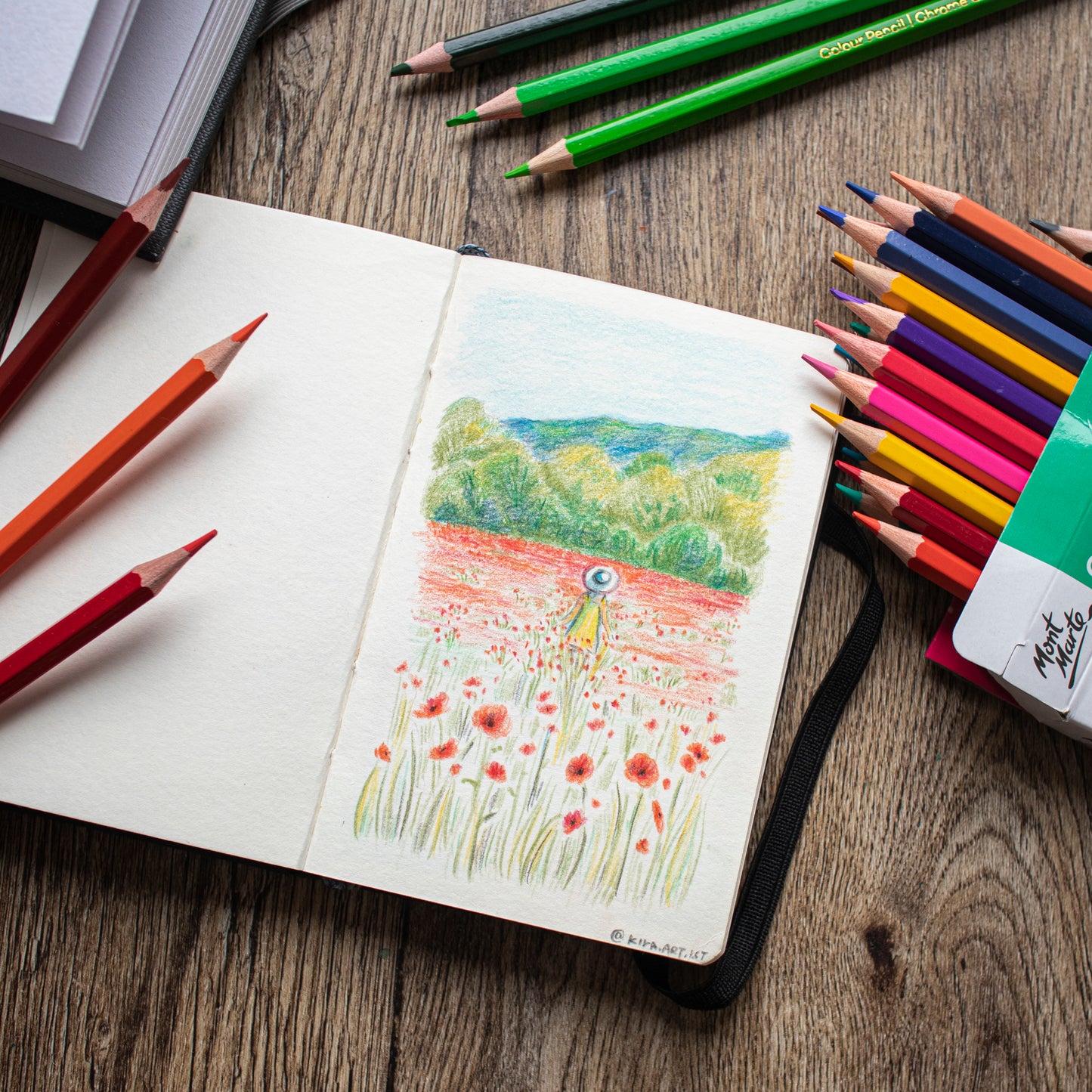 Mont Marte Signature Buntstifte Set - 36 Farben - SETL