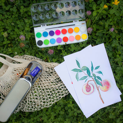 Mont Marte Discovery Aquarell Set – 16 / 36 Farben inkl. Nylonpinsel