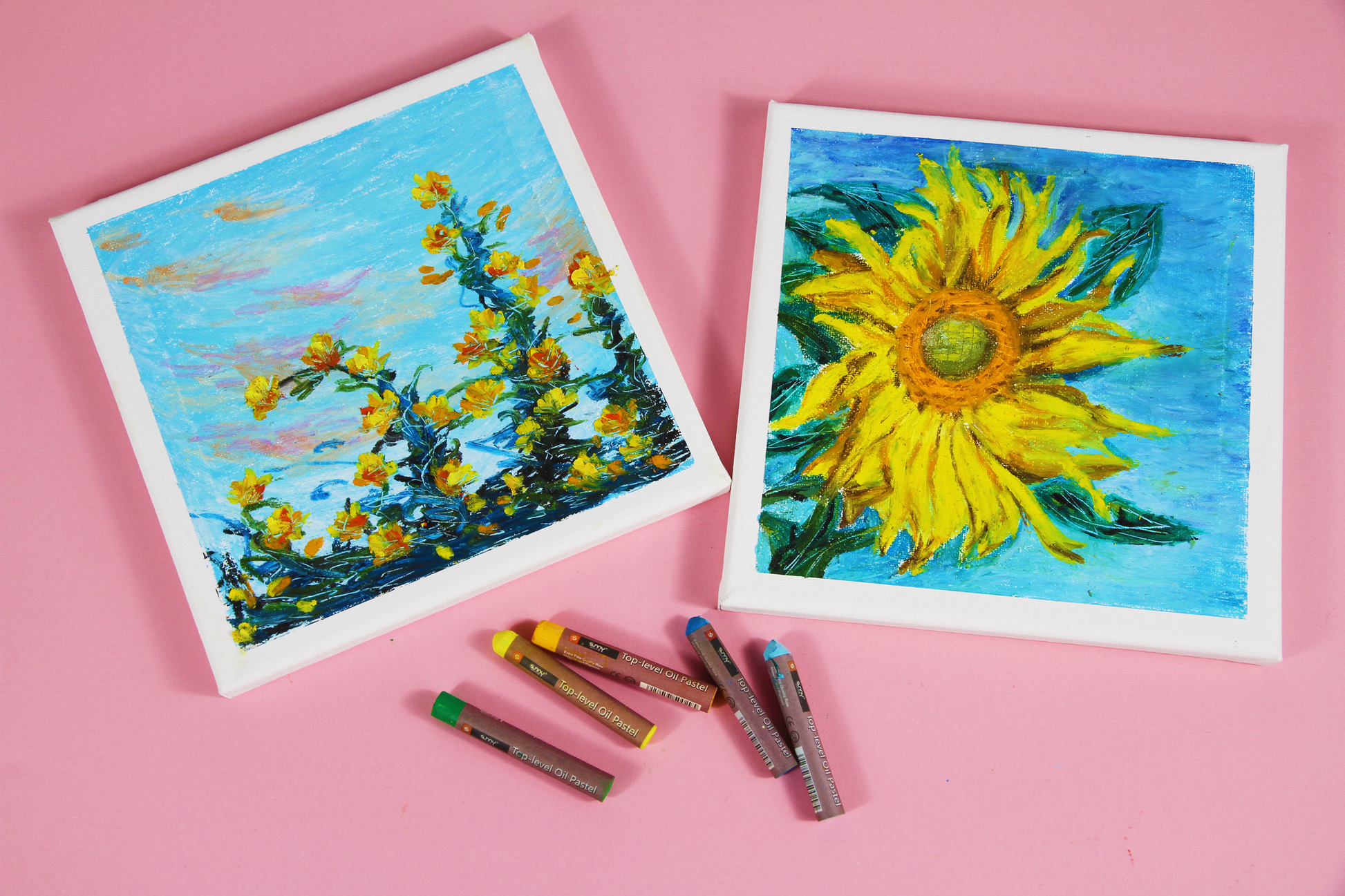 Sunny Ölpastellkreiden Set - 25 / 36 / 50 Farben - SETL